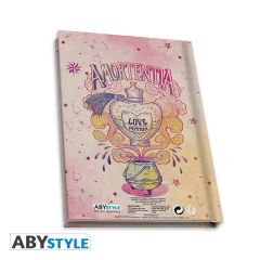 Harry Potter Gryffindor Hediye Seti - ABYPCK250