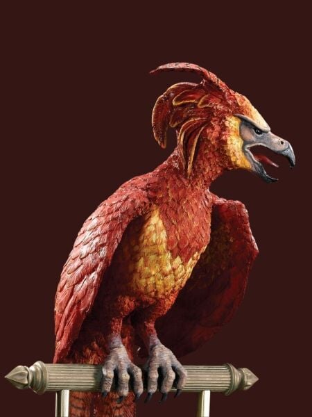 Wizarding World™ - Fawkes The Phoenix Heykel