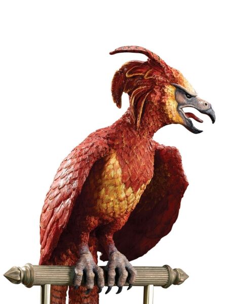 Wizarding World™ - Fawkes The Phoenix Heykel
